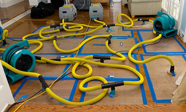 Professional Crawl Space Water Removal technician working in Orford, NH